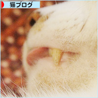 いつの間にやったの!?_a0389088_15351897.jpg