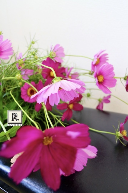ほとんどのお花を摘み取った季節の花々をつかって こちらのクラスではレッスンをしています_c0128489_17412132.jpeg