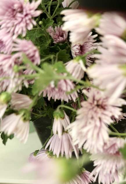 ほとんどのお花を摘み取った季節の花々をつかって こちらのクラスではレッスンをしています_c0128489_17415186.jpeg