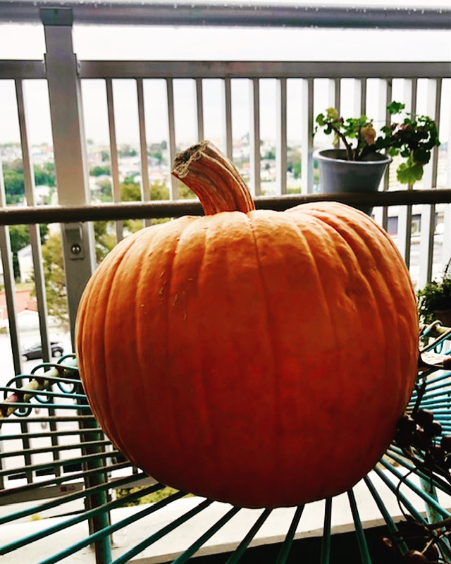 ひかりの10月_f0137694_00292664.jpeg