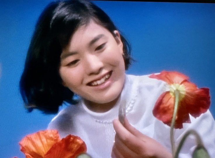 ウルトラセブンに松坂慶子さんが出てた よく飲むオバチャン 本日のメニュー