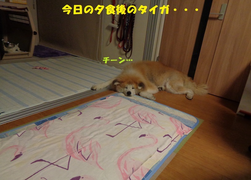 2tpxolstfbsjsm 2tpxolstfbsjsm