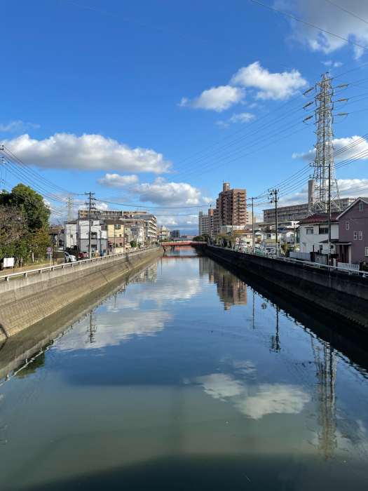 雨上がり、雨のち晴れ_d0152261_20085595.jpg