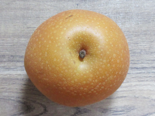 幸水梨_c0152767_19490559.jpg