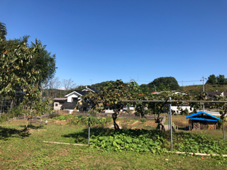 青水里山の会 _f0363168_14525709.png
