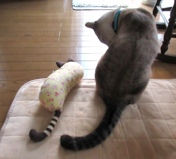 朝の一コマ_d0009101_18140548.jpg