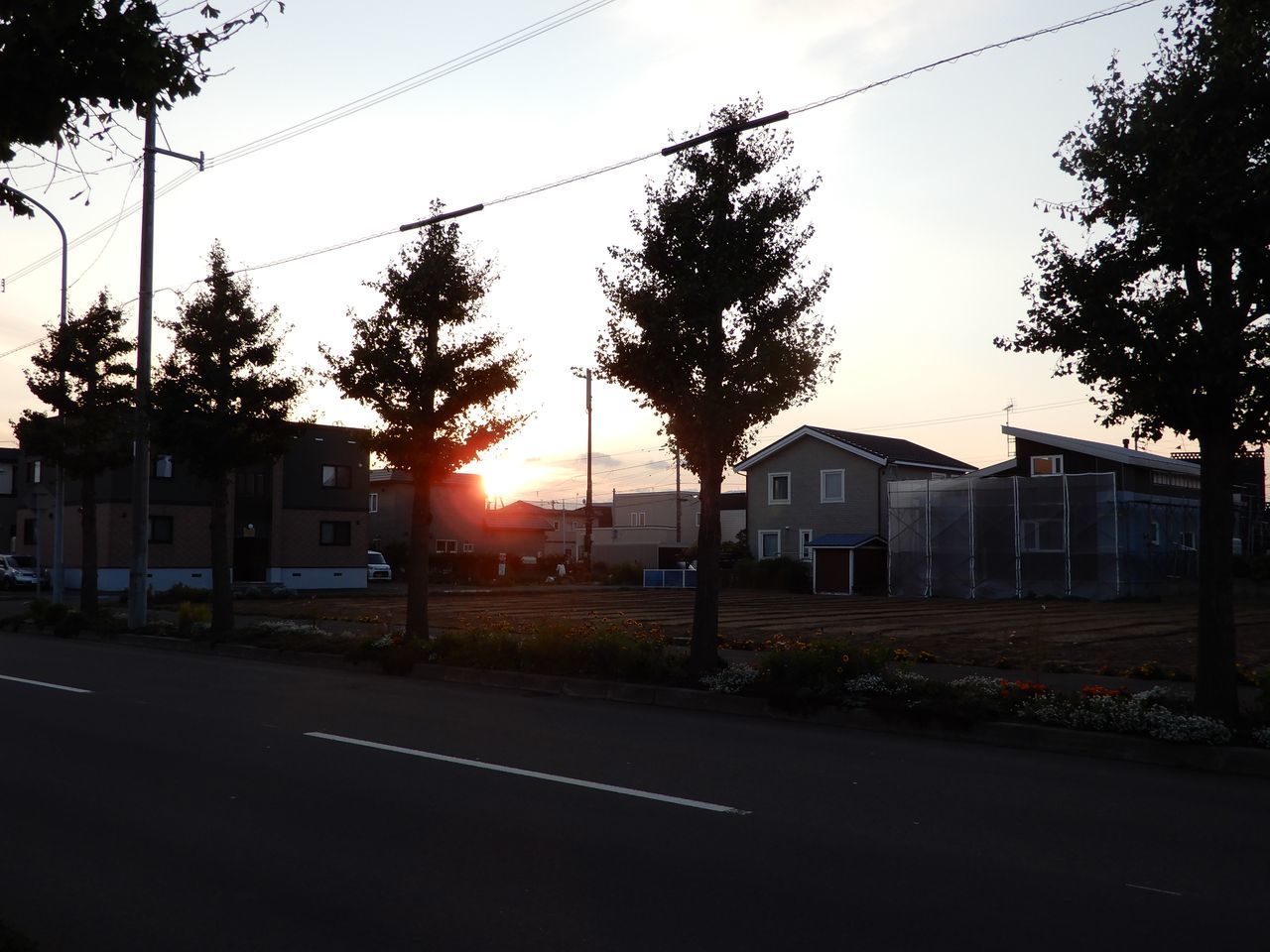 今日はまだ暖かめ_c0025115_21494509.jpg