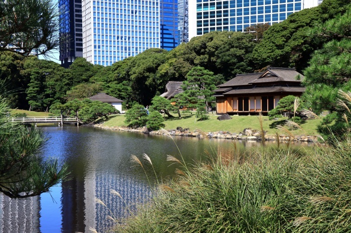 秋景潮入の池　浜離宮恩賜庭園_b0325217_17574098.jpg