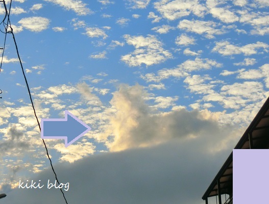夕方散歩（ワンコに似た雲）_f0234245_16351929.jpg