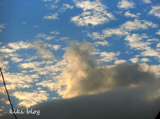 夕方散歩（ワンコに似た雲）_f0234245_16360601.jpg