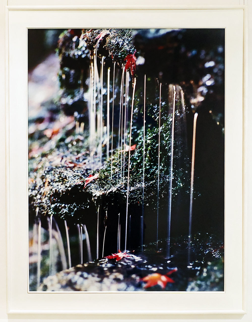 第92回 浪展_d0342009_22181851.jpg