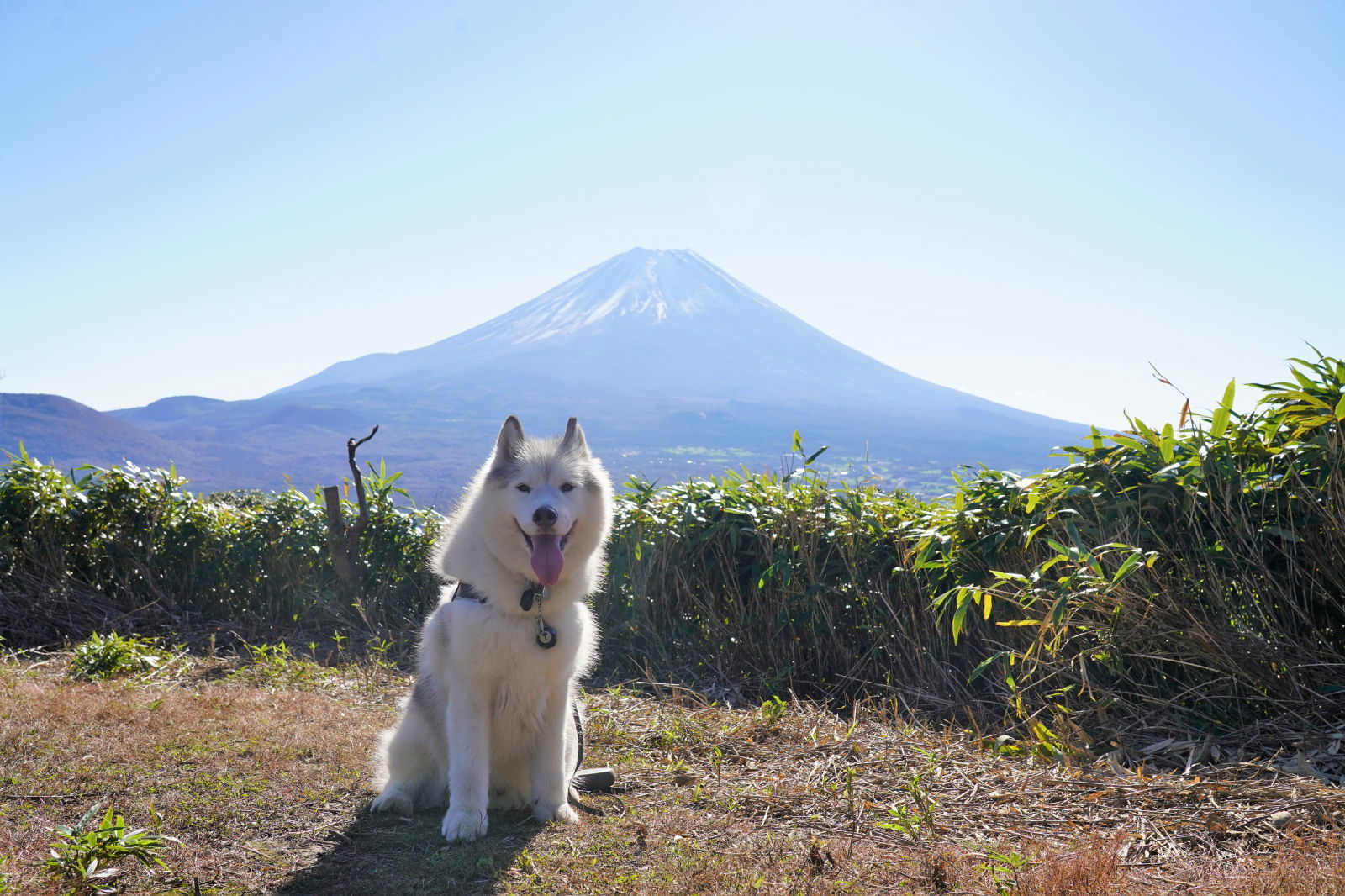 パワーをもらいに富士山へ＠竜ヶ岳_b0207615_10043974.jpg
