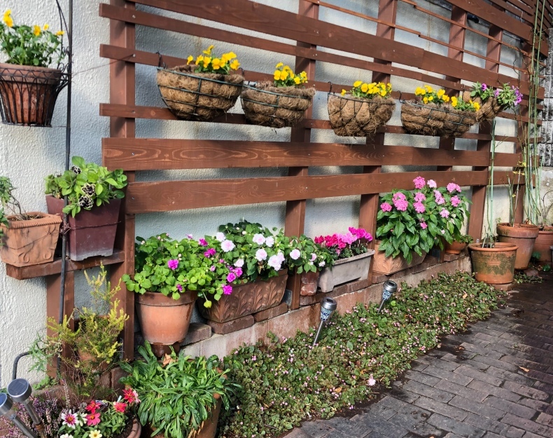 ああ 疲れたぁ 冬の準備 花の植え替え 風のとおる家から