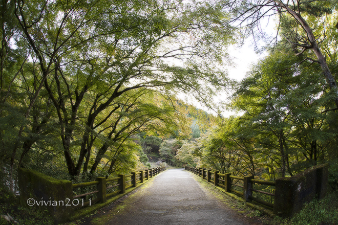 10月の撮影会は鹿沼　～大芦川、古峯神社～_e0227942_21575436.jpg