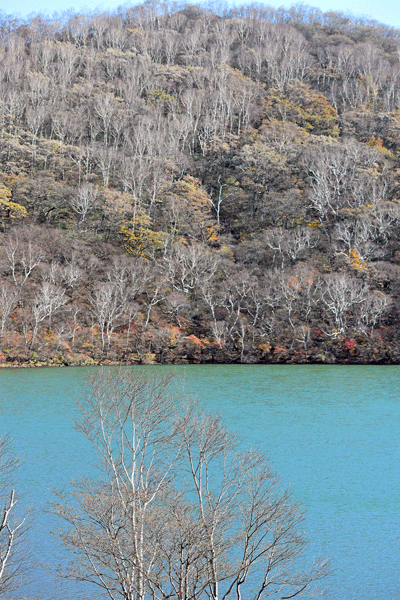 10月28日 赤城山 小沼 秋の終わり_a0001354_23473895.gif