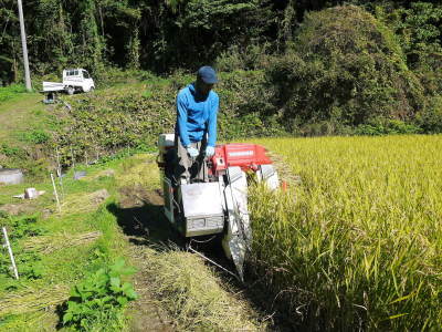 米作りの挑戦(2021)　稲刈りを無事に終えました！その１：自己紹介と米作りの課題克服！田植え後まで！_a0254656_17212916.jpg