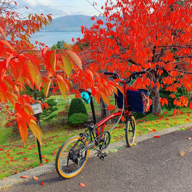 AKYそば食べにちょっと小樽まで♪10月紅葉編♪vol３～木原あいぽこ～