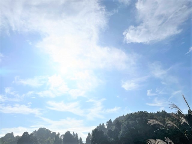 風_c0165589_11412638.jpg