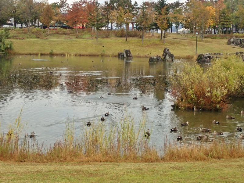 JA浦佐支店の帰り・・・八色の森公園へ入ってみました_c0336902_20221425.jpg