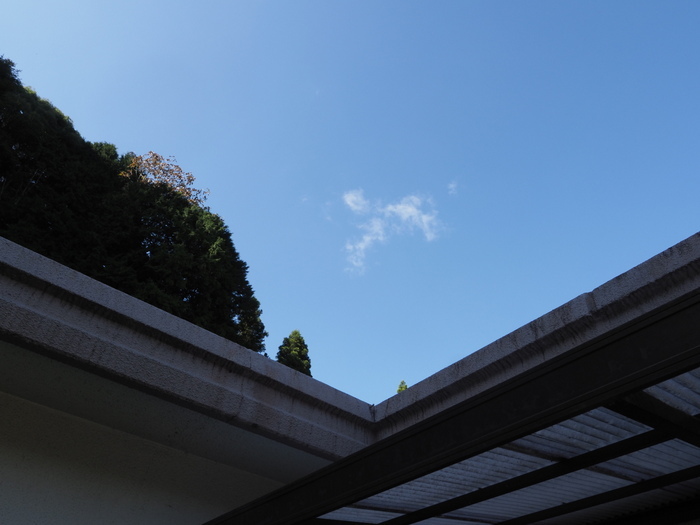 今日も晴れた_c0116915_22584030.jpg