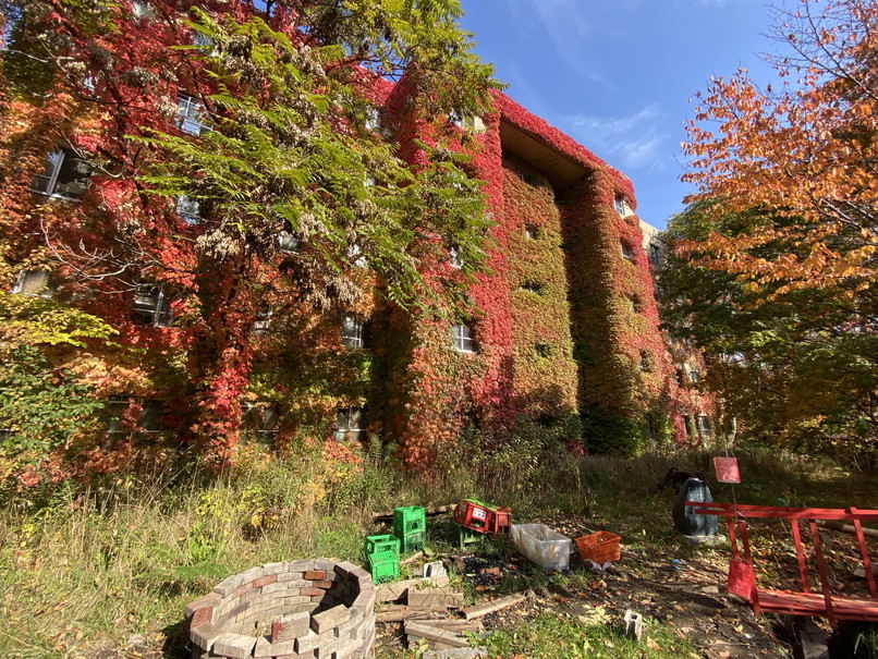 2021年10月 『街の紅葉、北海道大学』　October 2021 \"Autumn Color in Hokkaido University Campus\"_c0219616_12582983.jpg