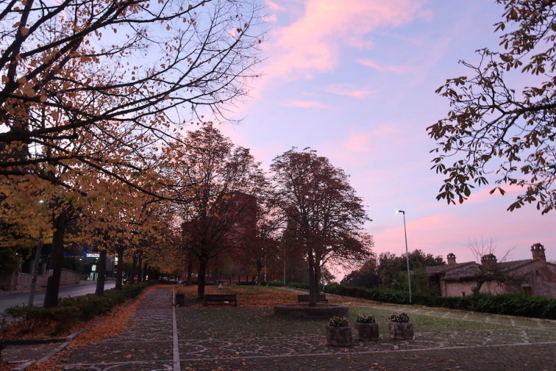 朝焼けと紅葉美しい空に白い半月_f0234936_22385334.jpg