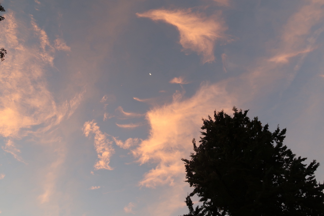 朝焼けと紅葉美しい空に白い半月_f0234936_22400135.jpg