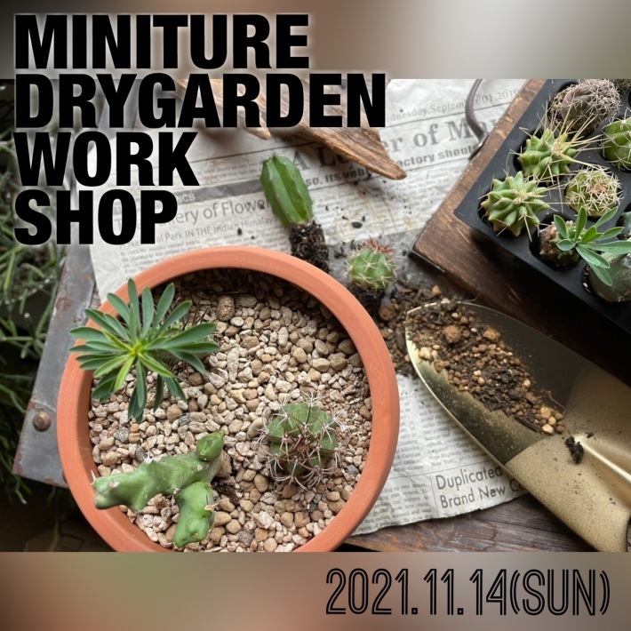 【 MiniatureDryGarden Workshop 】_e0130464_12510923.jpeg