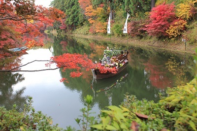 「弘前城菊と紅葉まつり2021」準備中_2021.10.29撮影_d0131668_14431821.jpg