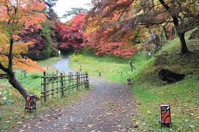 「弘前城菊と紅葉まつり2021」準備中_2021.10.29撮影_d0131668_14501353.jpg