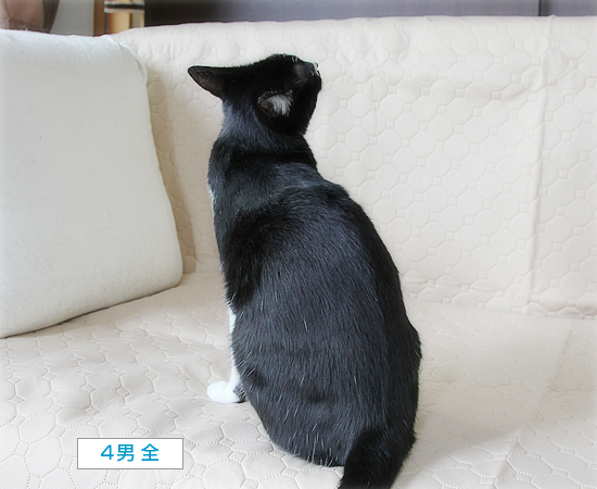 まるで、はじめてのように_a0389088_18143282.jpg