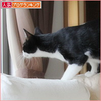 まるで、はじめてのように_a0389088_18143360.jpg