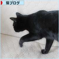まるで、はじめてのように_a0389088_18143384.jpg