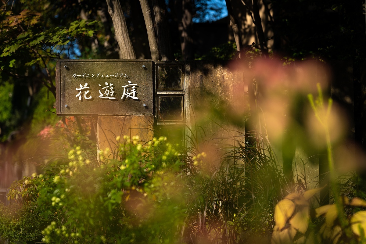 英国庭園の秋薔薇を愛でる光蜥蜴_d0353489_20000552.jpg