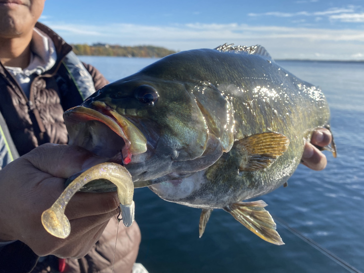 NLW Fishing Live - 2021/10/27 - レイクシムコー_d0145899_01012334.jpeg