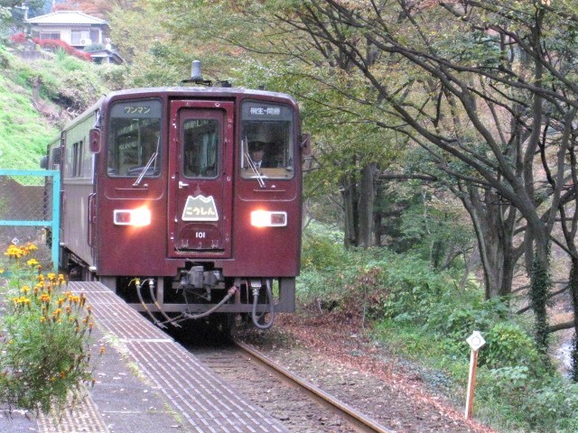 昔から鉄道が好きだったらしい！（2008年11月本宿駅にて）_c0212604_21474723.jpg