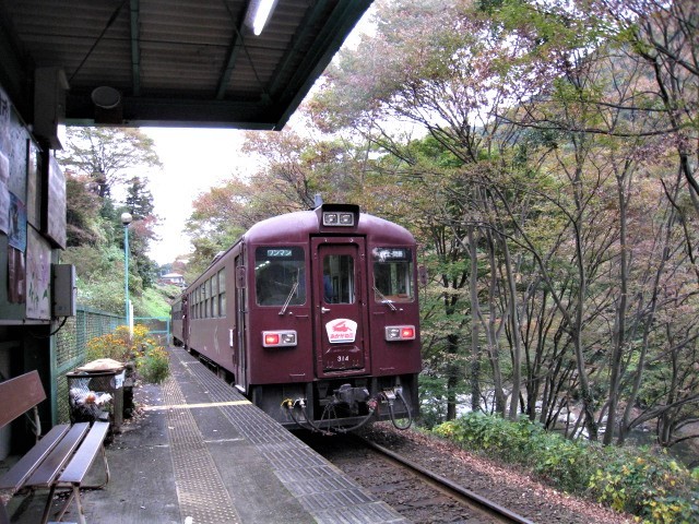 昔から鉄道が好きだったらしい！（2008年11月本宿駅にて）_c0212604_21480242.jpg