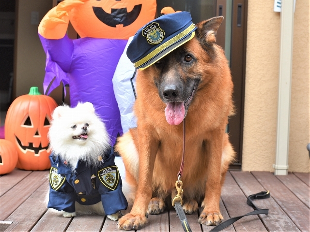 警察官と警察犬 ハロウィン21 徒然てんぐさ