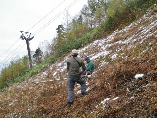 スキー場の草刈作業に行ってきました~~。_a0353718_12251756.jpg