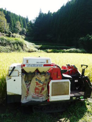 米作りの挑戦(2021)　稲刈りを無事に終えました！その3：実は稲刈りで大失敗！収量は昨年の半分以下！_a0254656_17314017.jpg