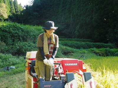 米作りの挑戦(2021)　稲刈りを無事に終えました！その3：実は稲刈りで大失敗！収量は昨年の半分以下！_a0254656_17550368.jpg