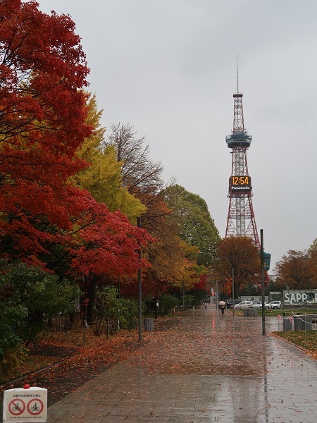 札幌の風景 雨の昼 散歩 21年10月28日 ワイン好きの料理おたく 雑記帳