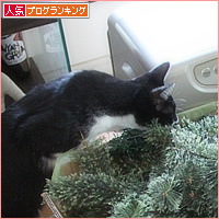 ついに、この季節がやってきた!_a0389088_16562800.jpg