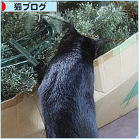 ついに、この季節がやってきた!_a0389088_16562911.jpg