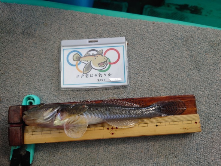 自然と遊ぼう たけ千代釣行記 自然と遊ぼう たけ千代釣行記