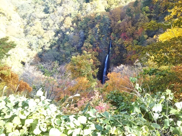 紅葉刈りⅡ_f0032130_17502829.jpg