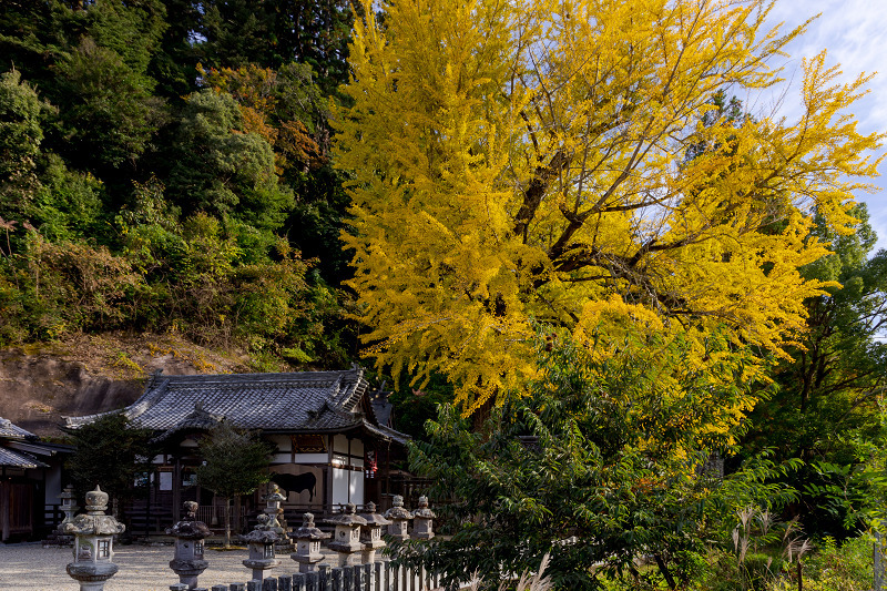 2021紅葉輝く奈良　下部神社の大銀杏_f0155048_22040713.jpg