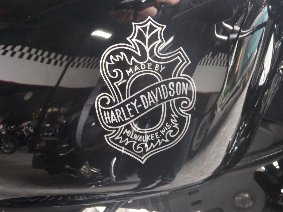 XL1200X フォーティーエイト : NUTS CUSTOM CYCLES XL1200X フォーティーエイト : NUTS CUSTOM CYCLES