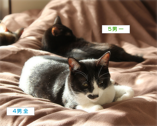 親は踏み台_a0389088_17545394.jpg