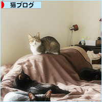 親は踏み台_a0389088_17545445.jpg